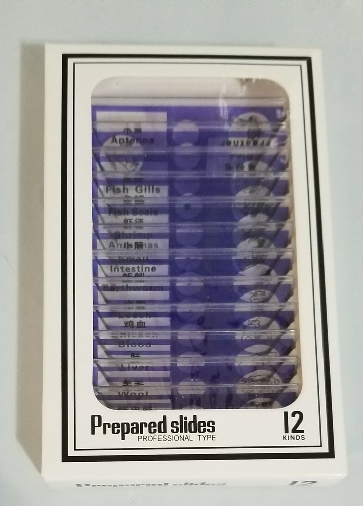 12 Prepared Slides Professional Type Hard Plastic Fish Frog