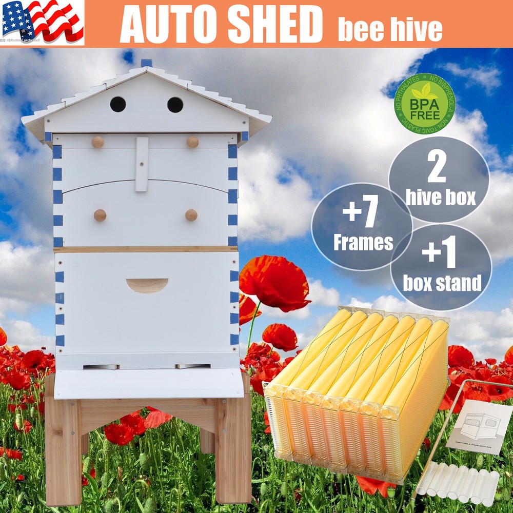 7xUpgraded Auto Honey Beehive Bee hive Frames + 2 Beekeeping Brood Boxes + Stand