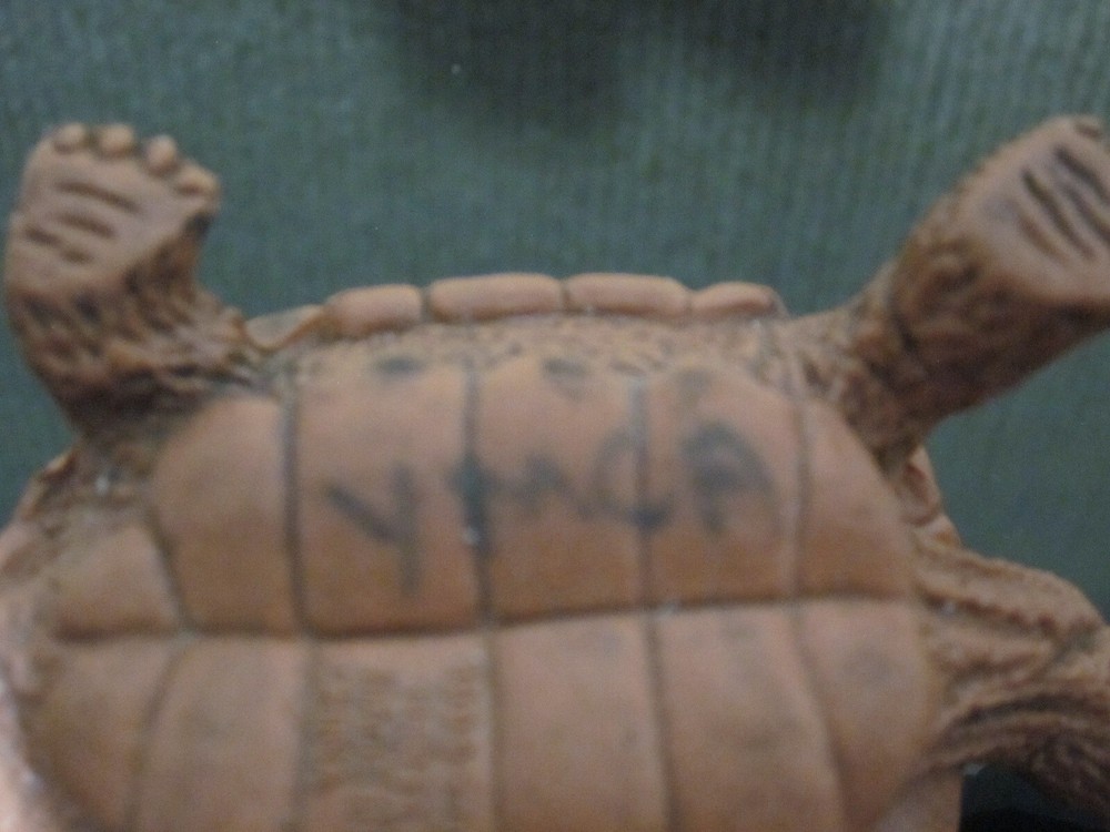 Vintage Turtle Toy TM 1994