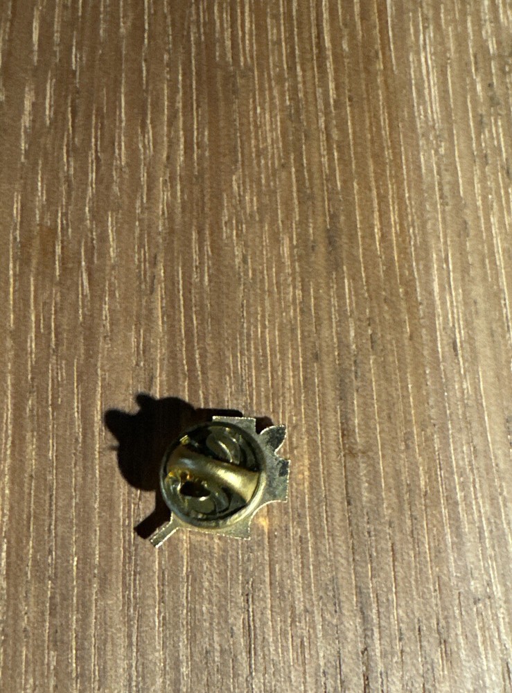AMA 16 Year Member Pin