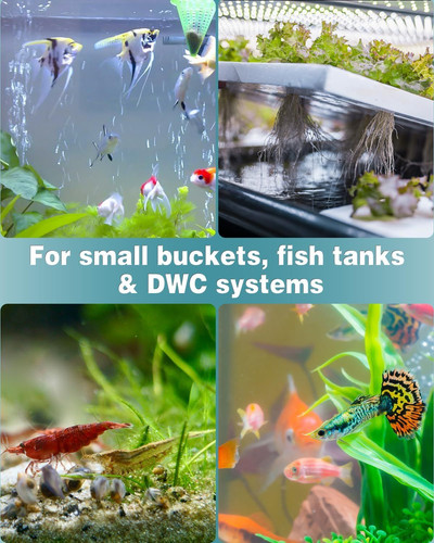 Pawfly Aquarium 0.8 Inch Air Stone Ball Bubble Diffuser Release Tool