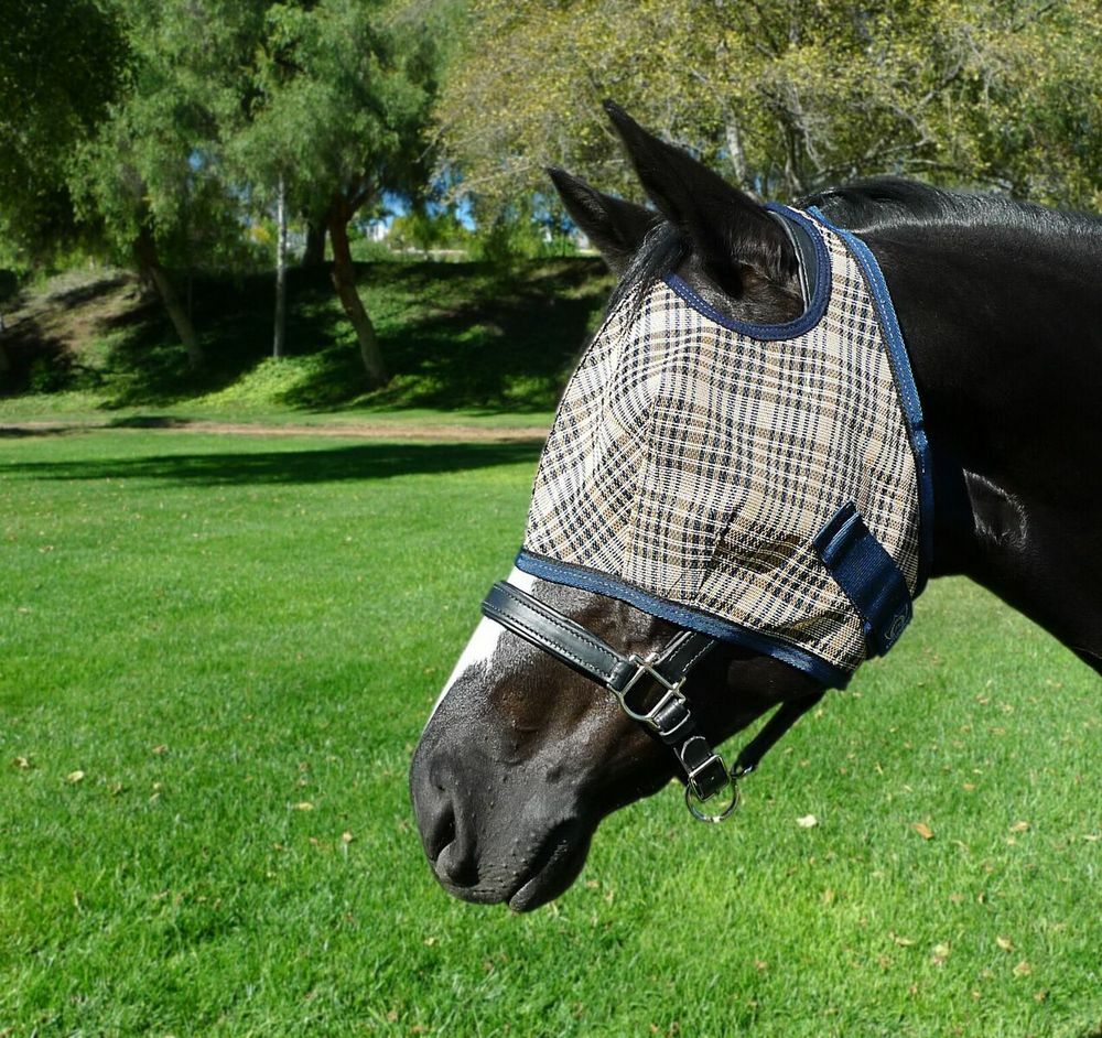 Kensington Fly Mask with Webbing Trim