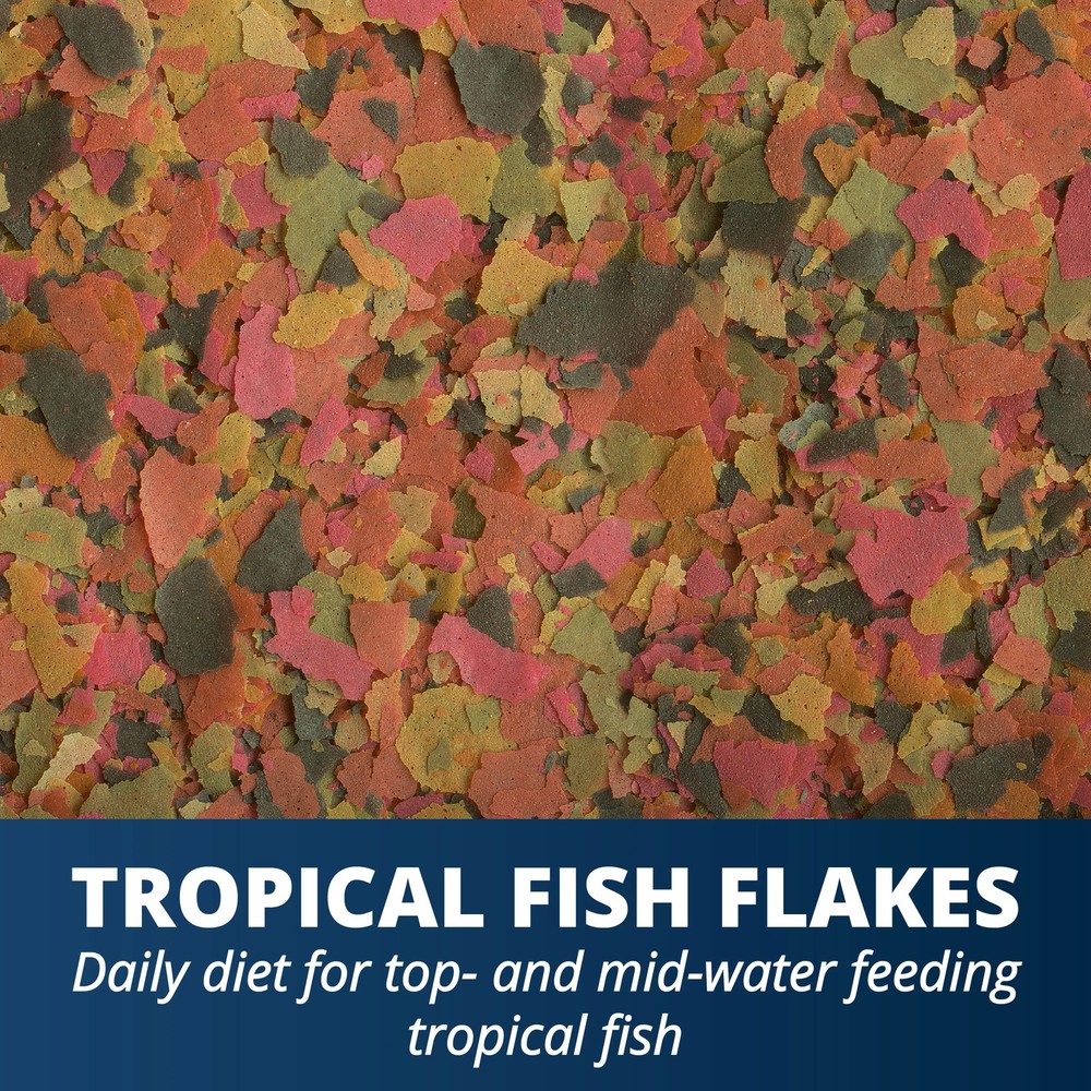 Large Floating Fish Food Sticks