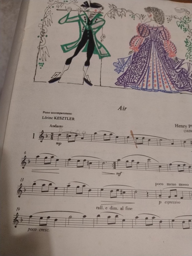 Flute Music For Beginners