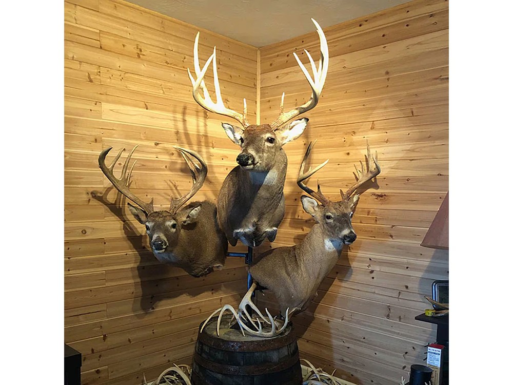 Full Range Hanging Systems Pedestal Deer Mount Display