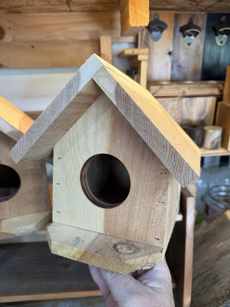 Cedar Bird House