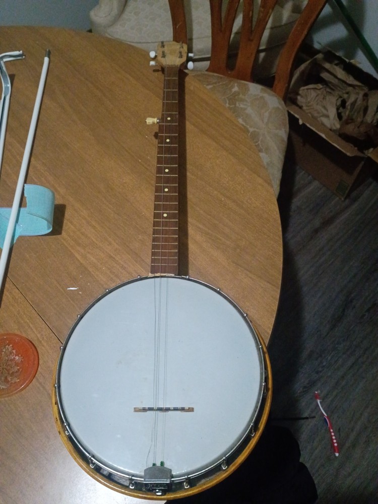 Banjo Needs Strings