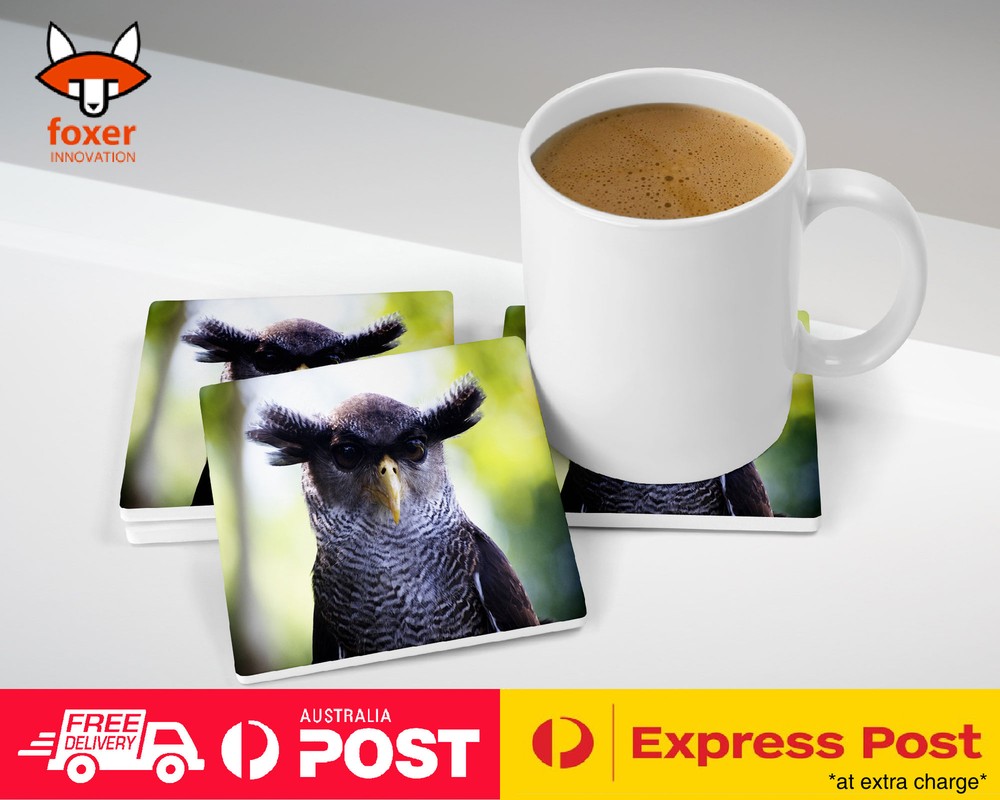 COASTER COFFEE DRINKING MAT|FUNNY OWL BIRD WITH EYEBROWS