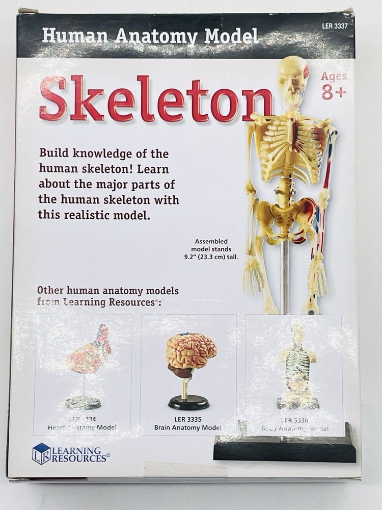 Learning Resources STEM Human Anatomy Skeleton 9.2" Tall Realistic Model ~ 41 Pc