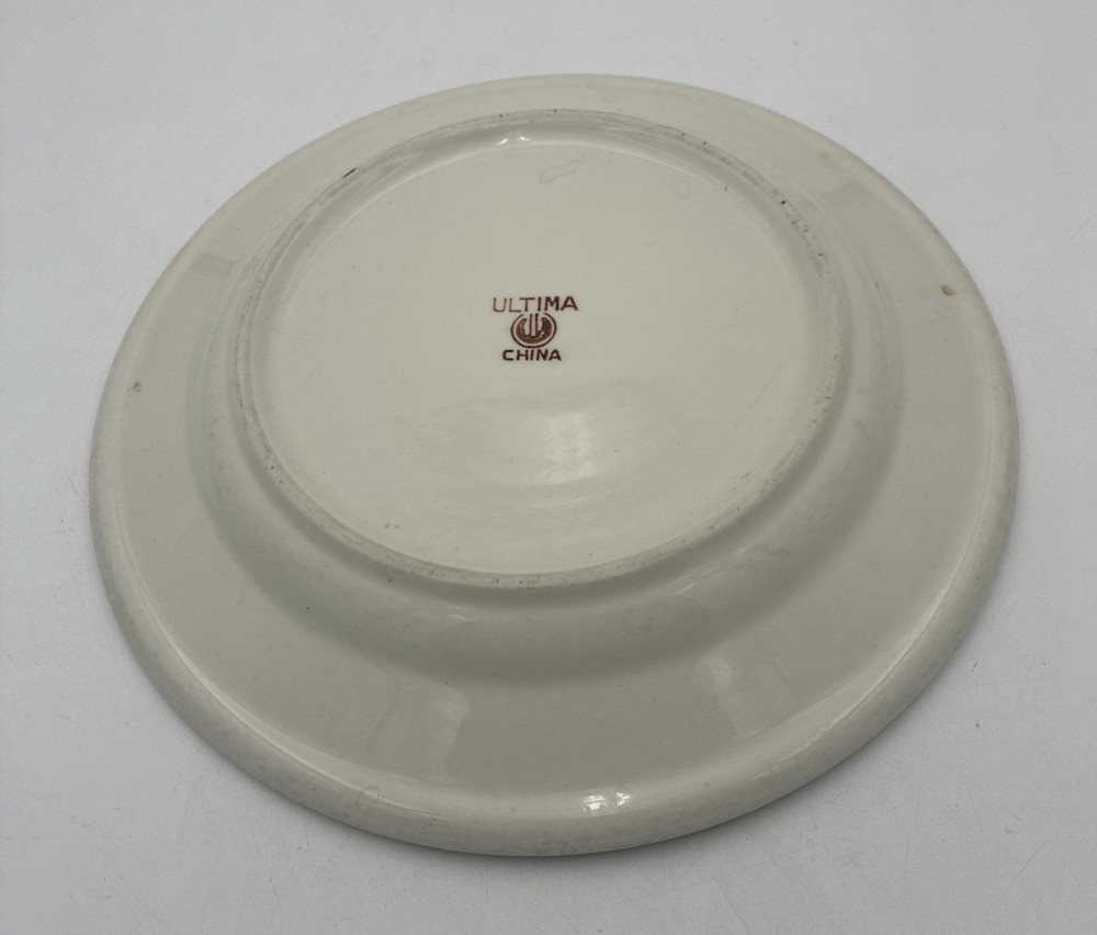 dinner plate 9 1/2 wide white ultima china