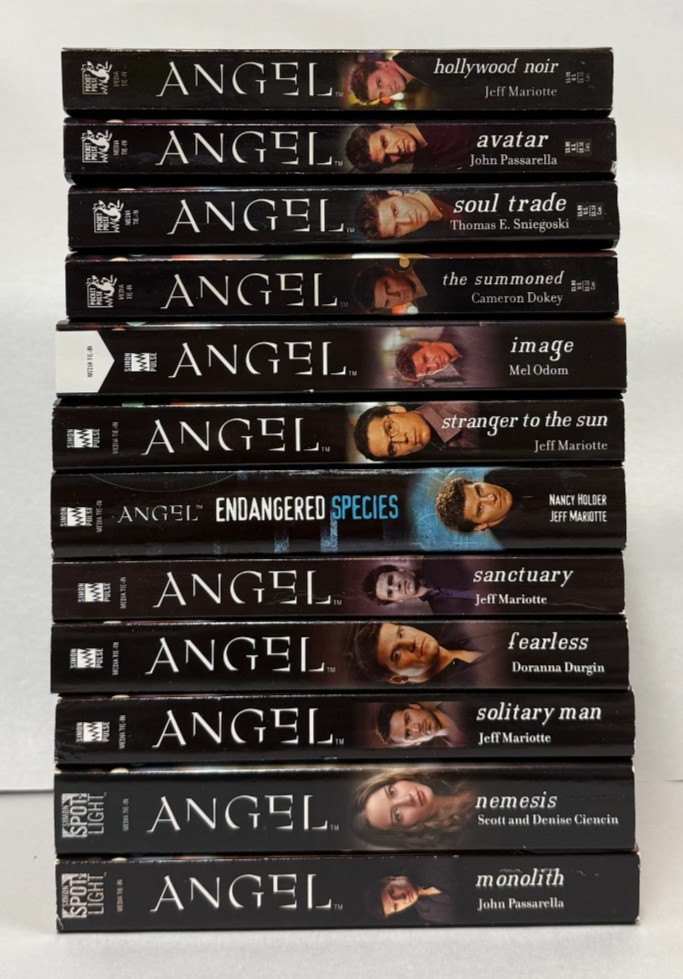 Buffy the Vampire Slayer 12 ANGEL BOOKS BUNDLE