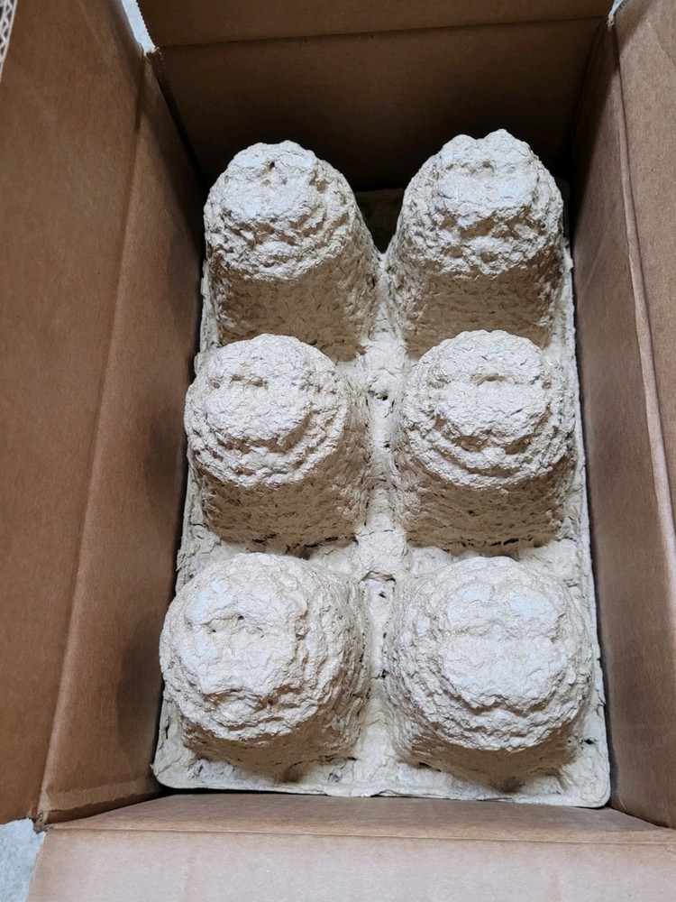 Sigma-Aldrich E7023-6X500ML