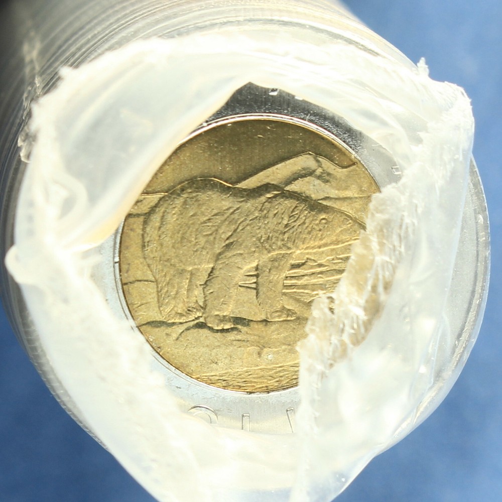 Canada 2011 Mint Roll - Toonies ($ 2.00) - Normal Polar Bear Reverse
