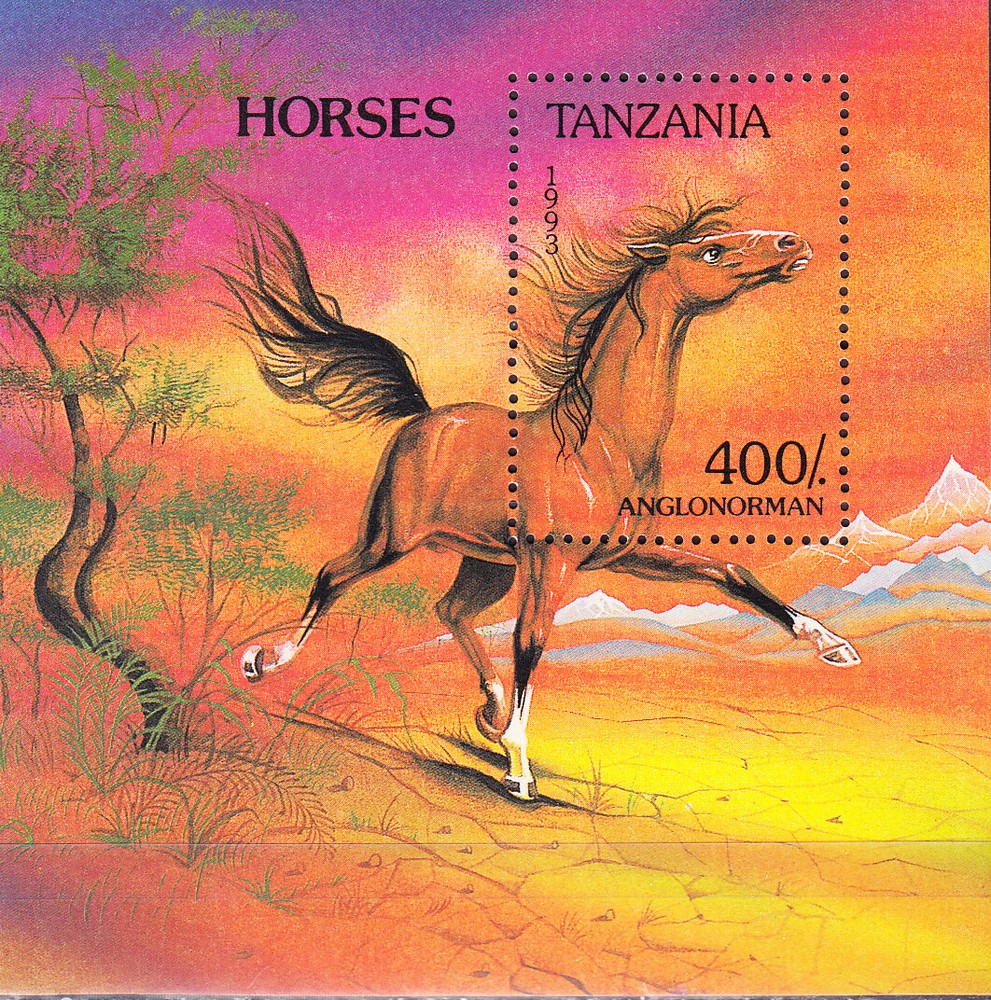 W TANZANIA 1159 HORSES
