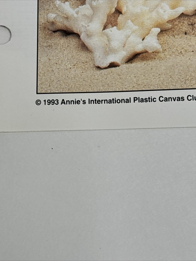 Beach Bear Set Surfboard & Sunglasses Annie's Attic Plastic Canvas Pattern