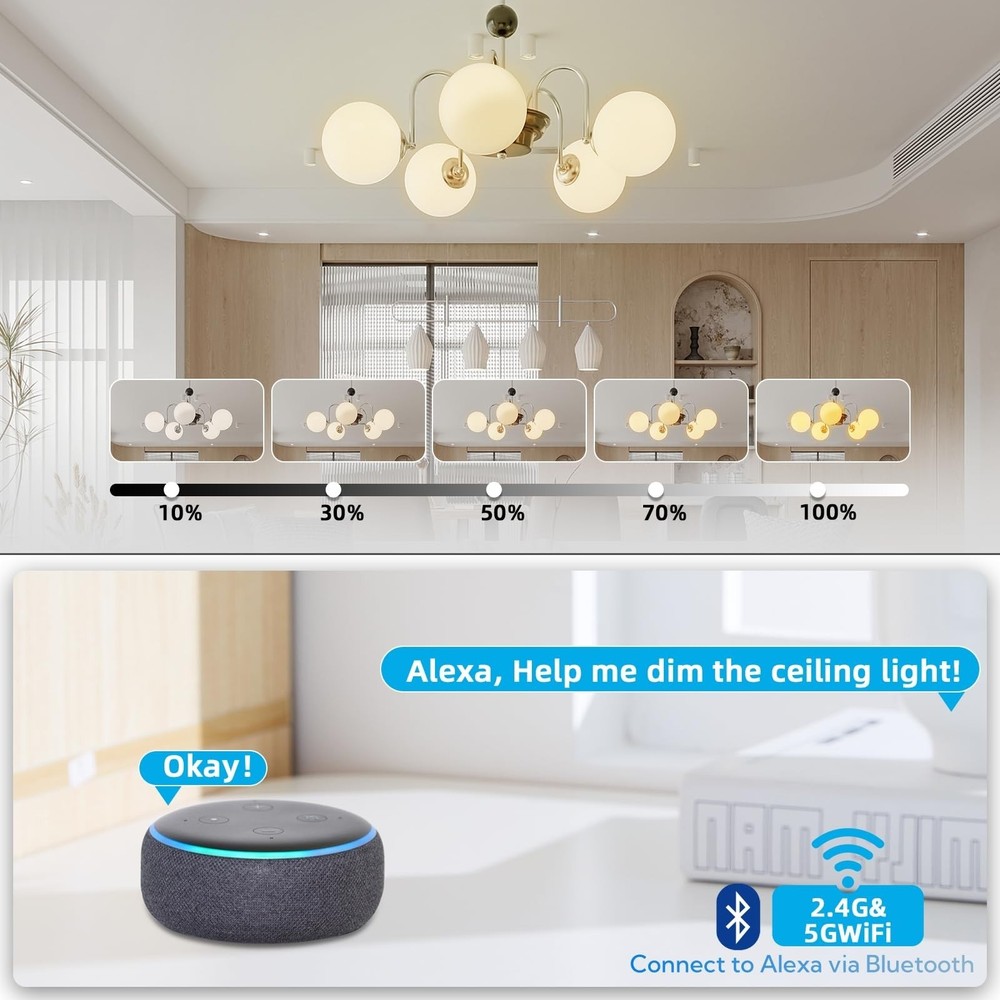 Wireless Dimmer Switch, 2 Remote Light and 1 Receiver kit, Work with Alexa Vo...