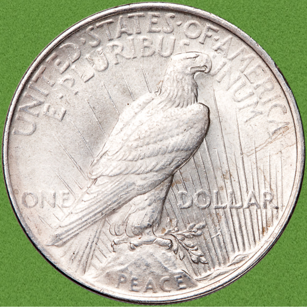 1924 Peace Silver Dollar - No Mint Mark - Good Date -Fine Details