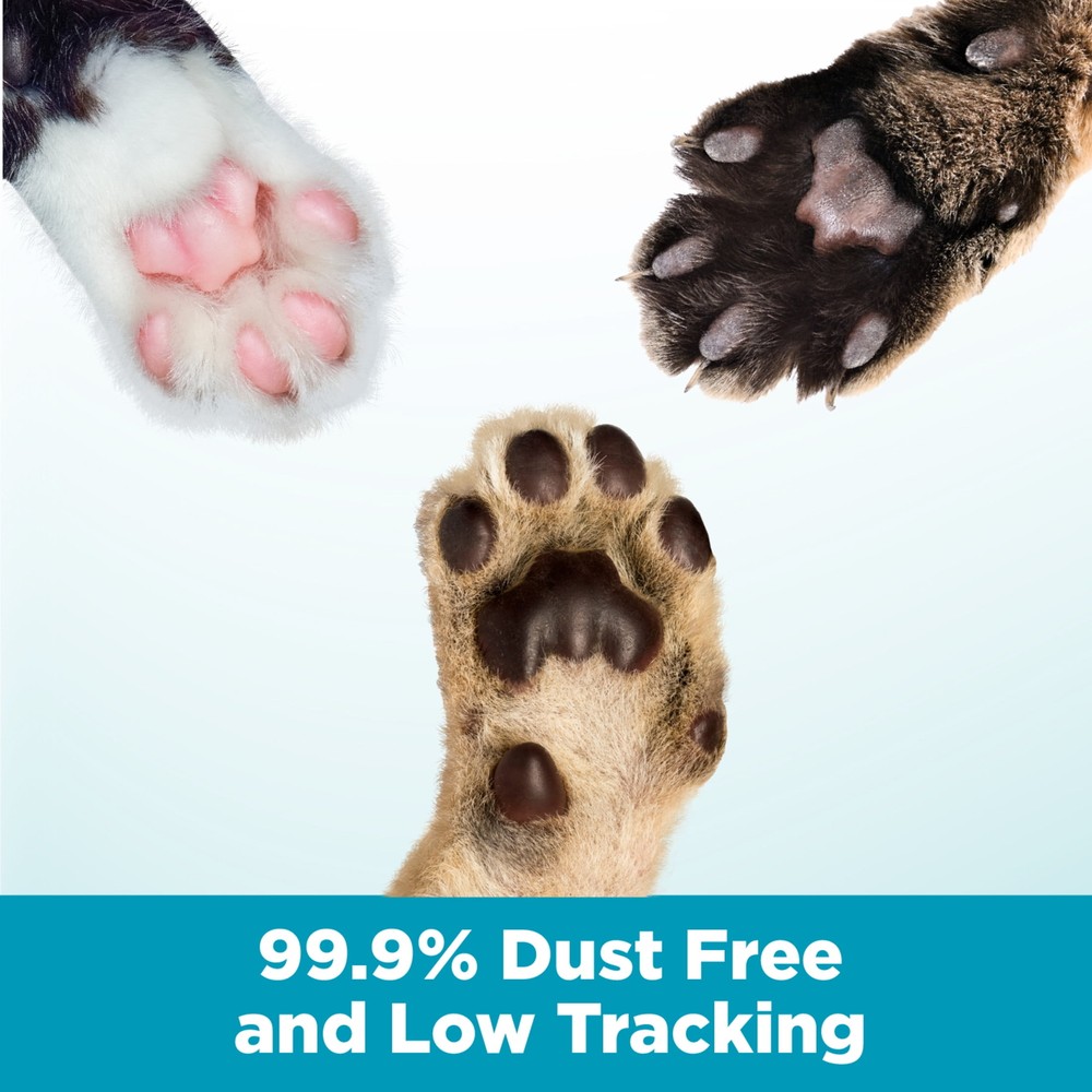 Cloud Control Multi-Cat Clumping Cat Litter with Hypoallergenic Light Scent,