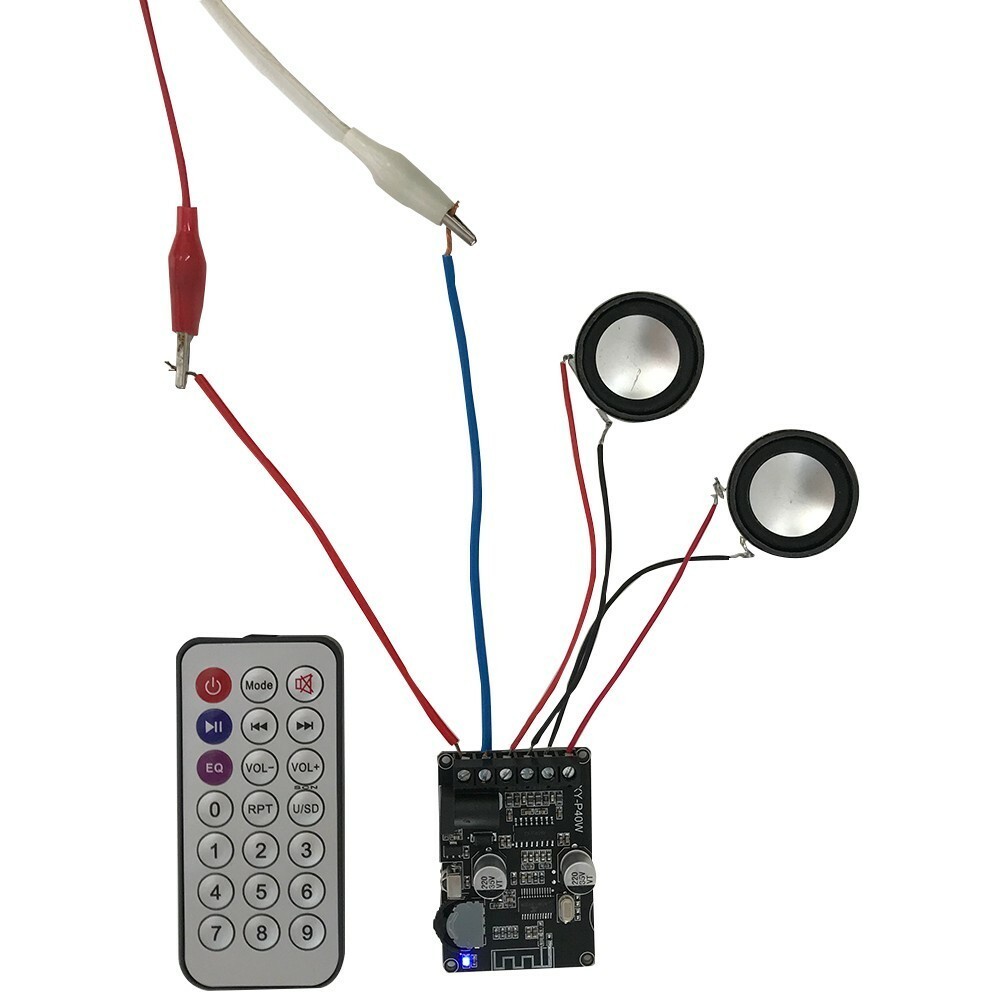 Digital Stereo Bluetooth Audio Receiver Board Amplifier Remote Power Module 24V