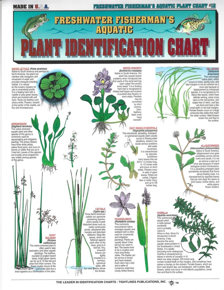Freshwater Aquatic Plant Identification Chart #12  Waterproof Guide