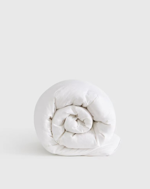 NWT QUINCE PREMIUM DOWN ALTERNATIVE COMFORTER TWIN INSERT LIGHTWEIGHT RET $100