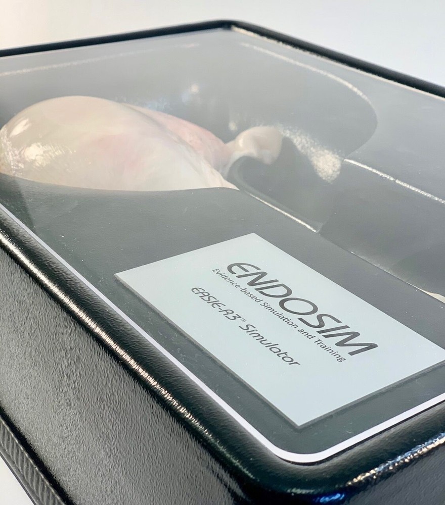Endosim EASIE-R3 Endoscopic Real Tissue Simulator