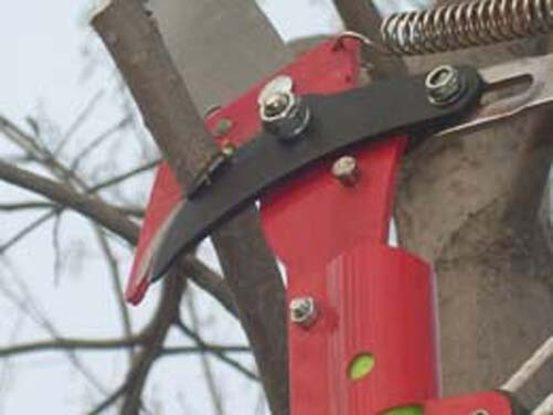 19ft Tree Pole Pruner Assembled High Branch Pruning Tree Saw Gardening Tools New
