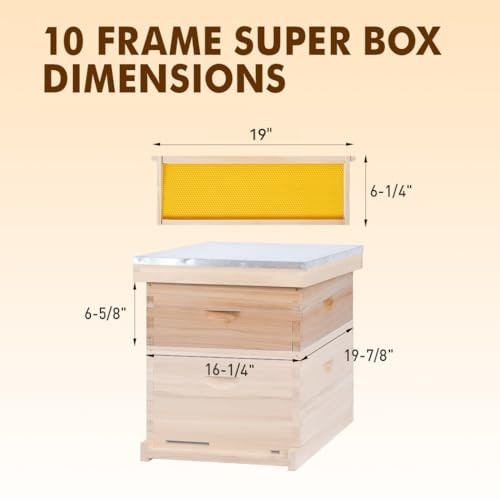 Medium Super Beehive Box,Langstoth Super Honey Bee Hive Box, Include 10 Frame