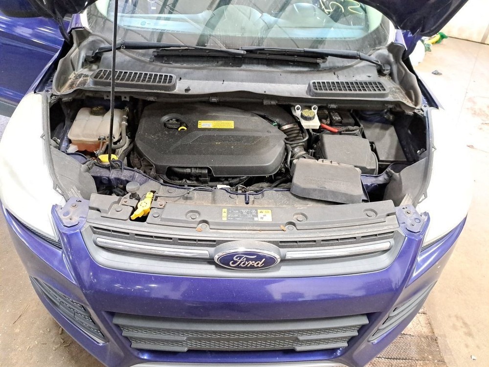 Rear 2014 Escape Camera/Projector Sku#4233571