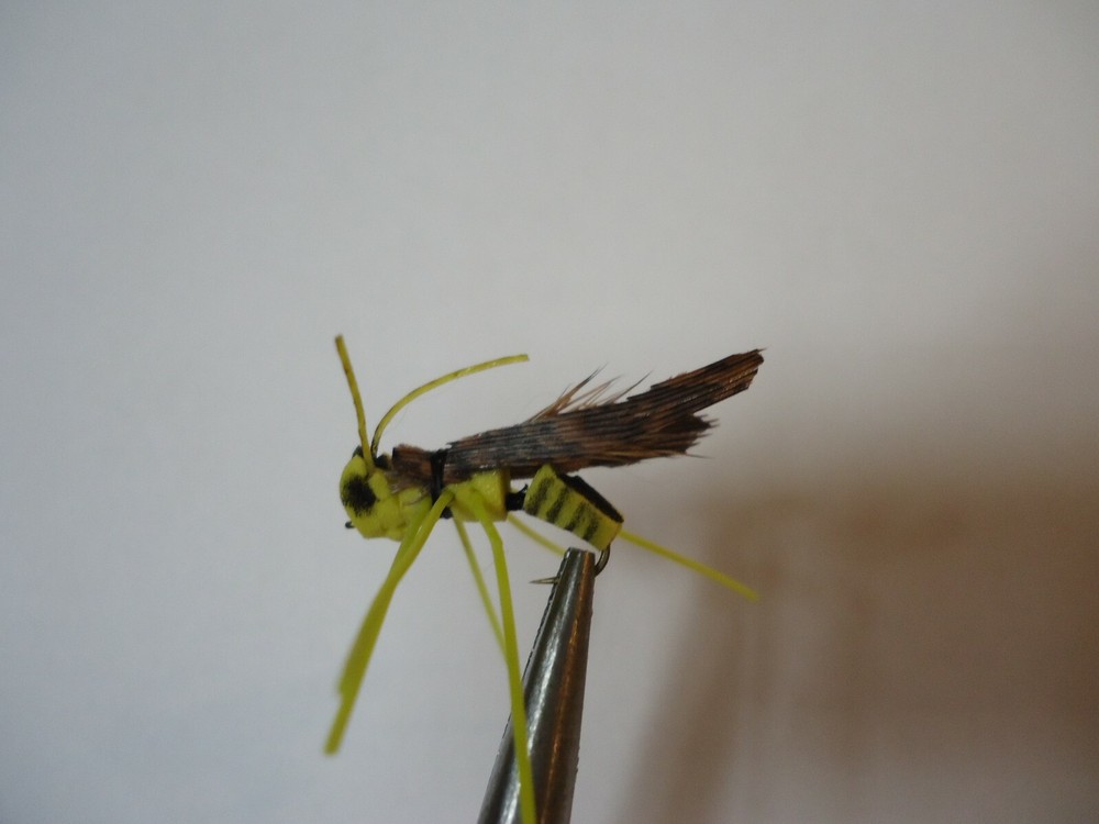 Yellow Jacket Wasp Size 10