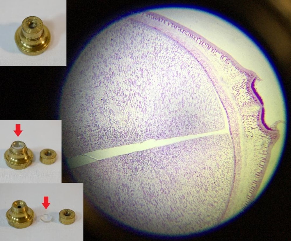 microscope antique John Richardson's cuff microscope