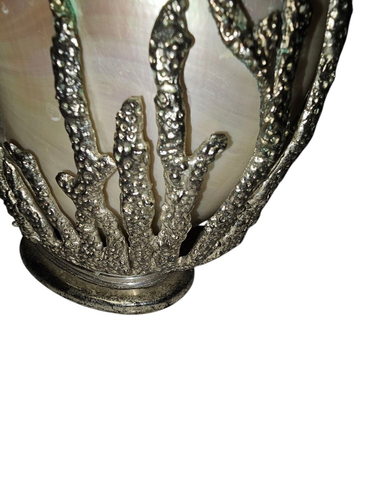 Decorative Silver Encased Chambered Nautilus sea shell
