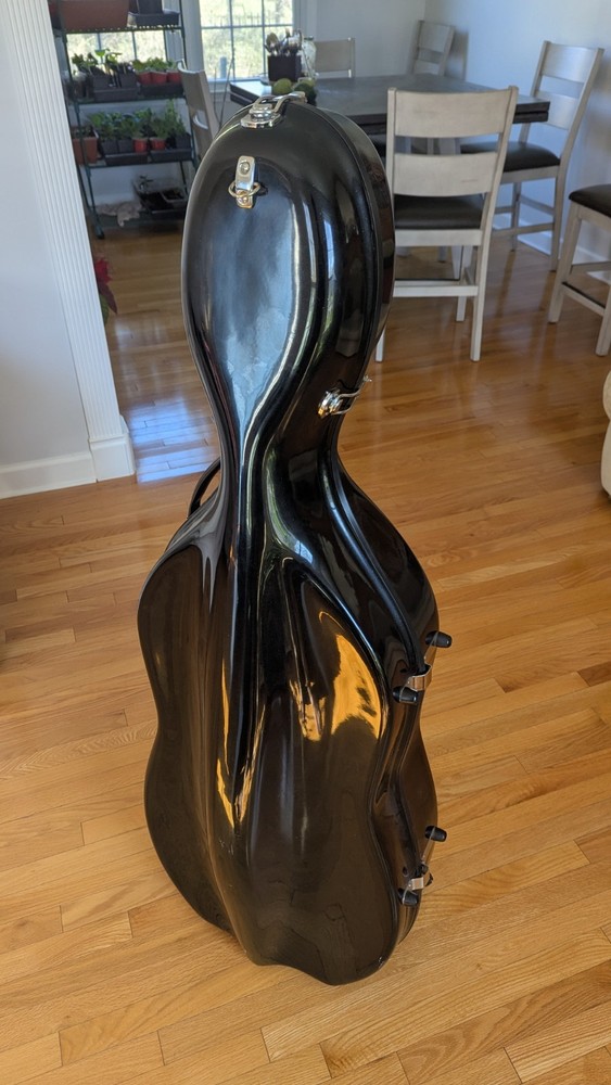 4/4 2012 Eastman Strings Cello