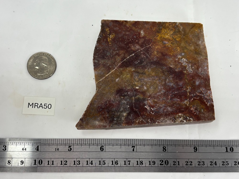 Thick Mexican Red Moss Agate Slab Lapidary Cabbing Combo Ship Avail