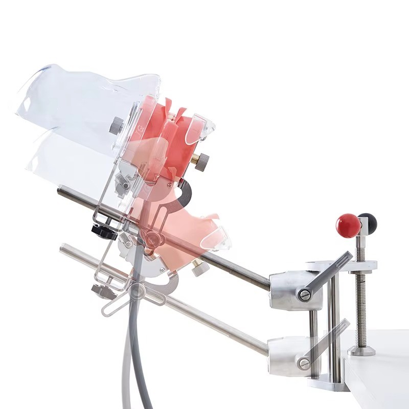 Dental Phantom Mannequin Head Simulator with Typodont Teeth Model for Training