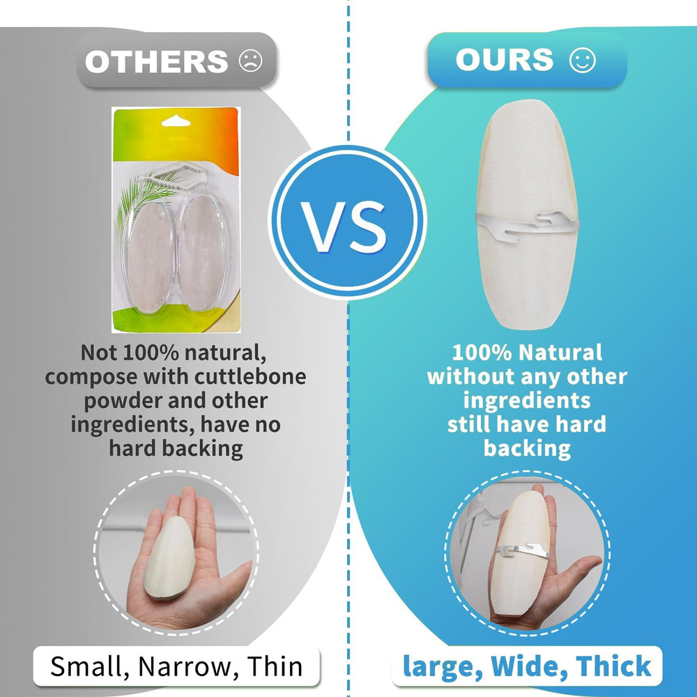 5"-5.5" Bird Cuttlebone for Parakeets, Cuddle Bone with Metal Holder, Cuttlefish