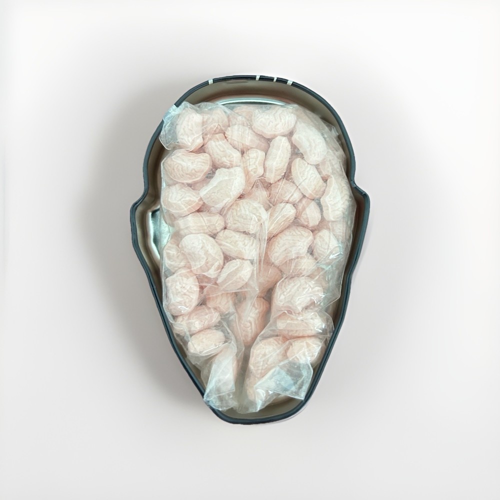 Super Rare Zombie Brain Mints in Collectable Tin 'Refleshmints'