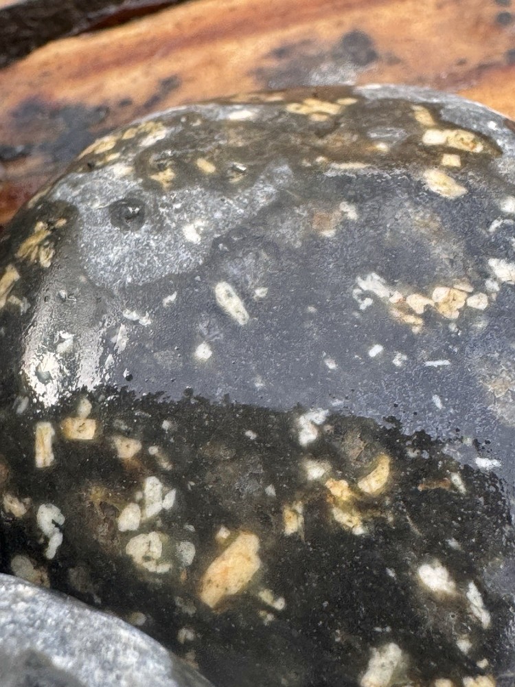 Rocks for Tumbling Lapidary Material Rough