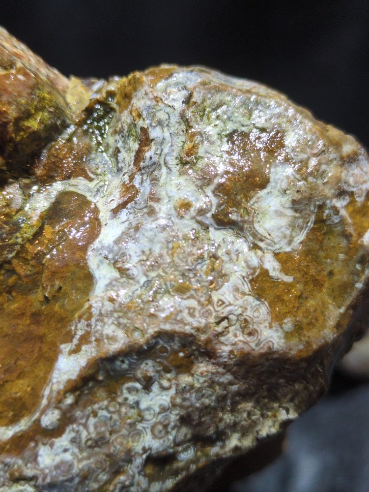 Biggs Jasper Specimen w/ Dendric Natural Form (7lbs 12oz)