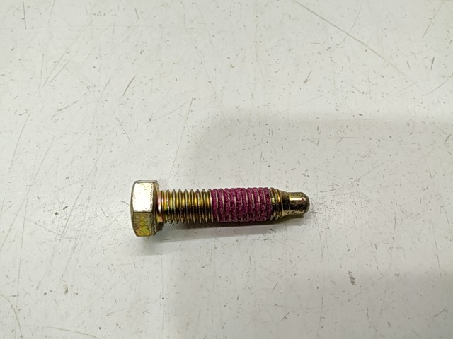 Screw - 2000 Polaris NOS