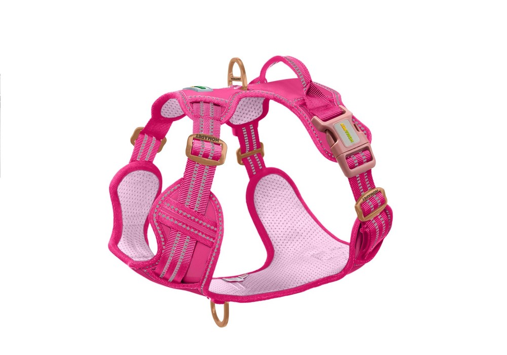 . No-Pull Dog Harness with Dual Leash Attachment Points, Soft Adjustable Padd...