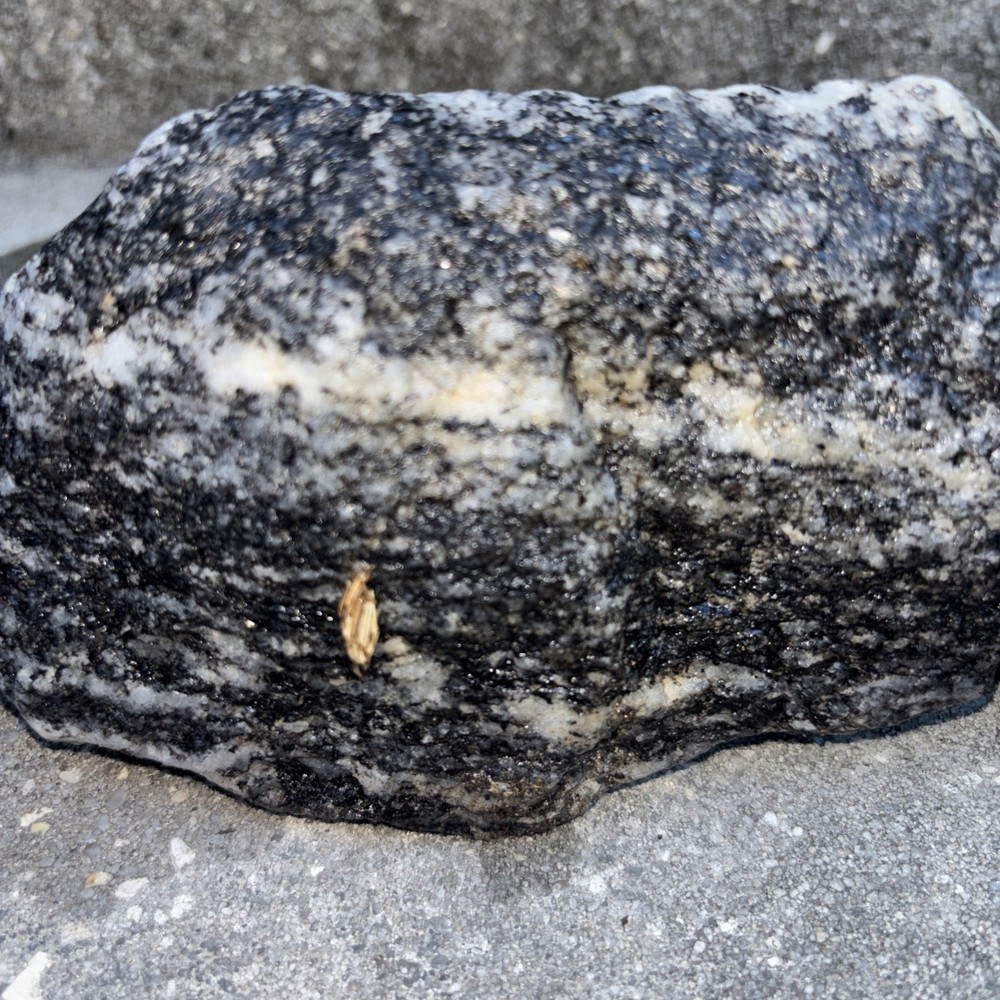 Gneiss Excellent Examples