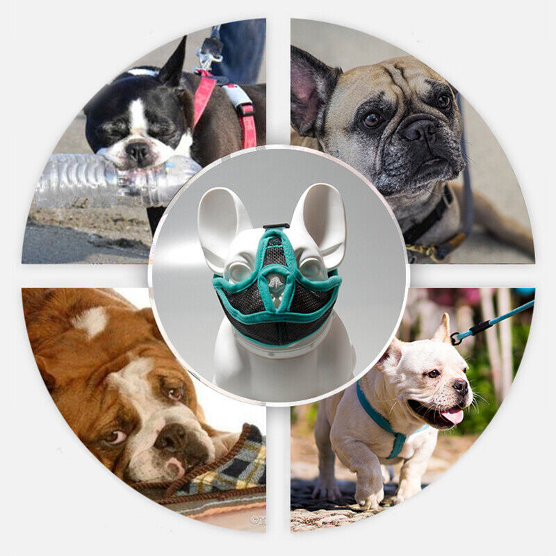 Dog Muzzle Anti Barking Bite Chewing Mesh Mask Training Small Large Breathable