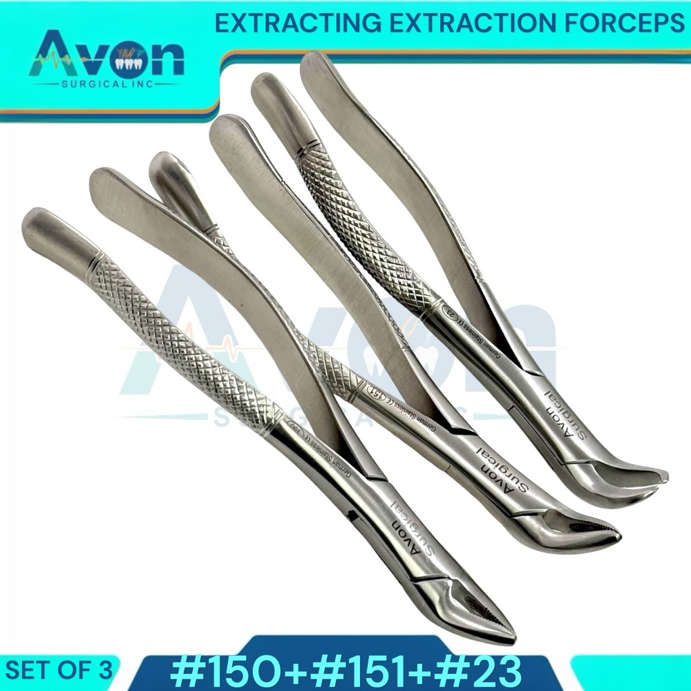 German Dental Extracting Forceps #150 151 & 23 Dental Extraction Instruments