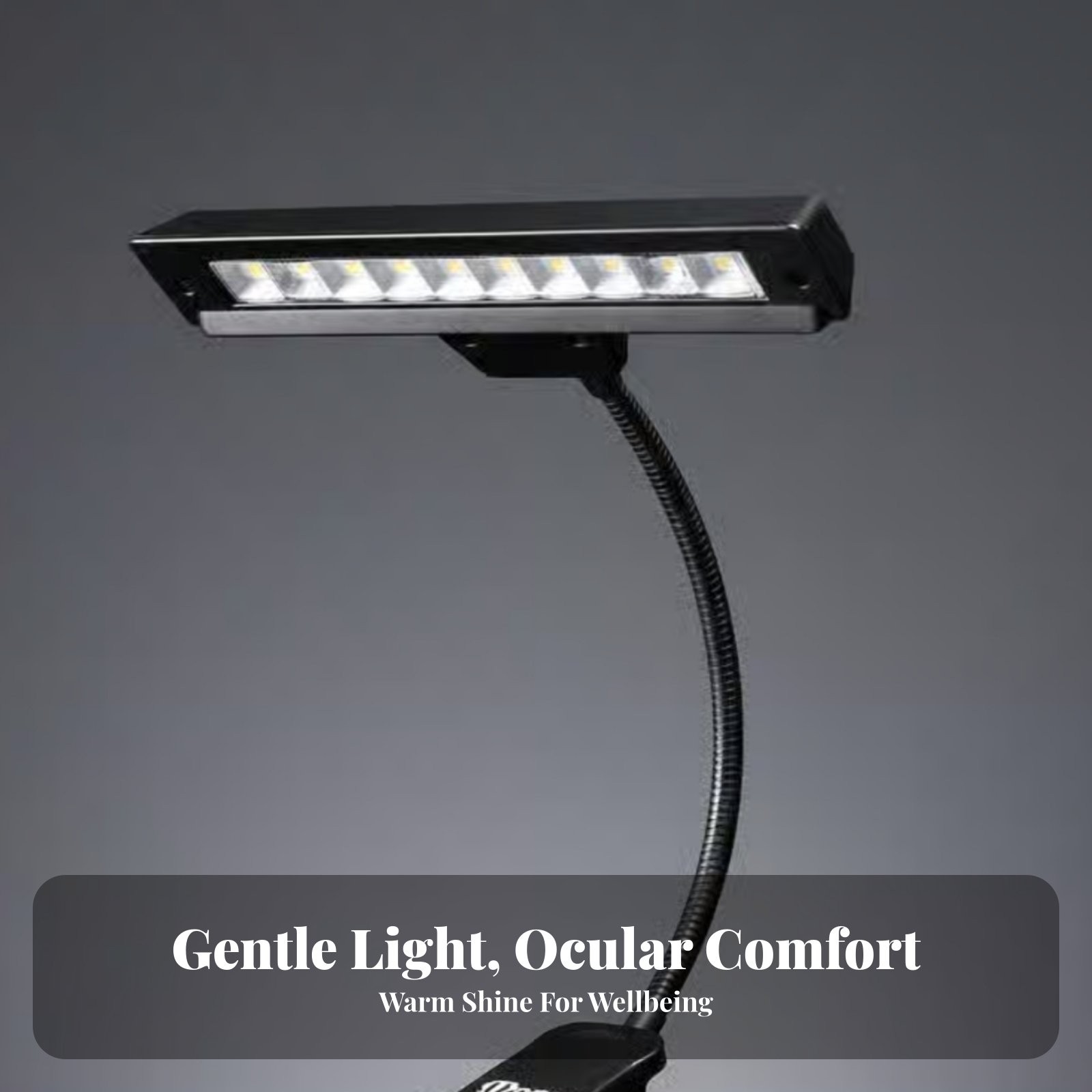 Professional 10 LED Clip On Music Stand Light Orchestra