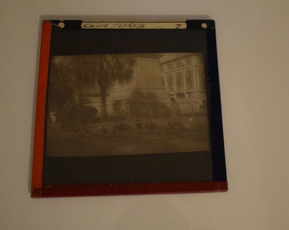 ANTIQUE Magic Lantern Slide CAIRO TURKEYS C1910 PHOTO EGYPT
