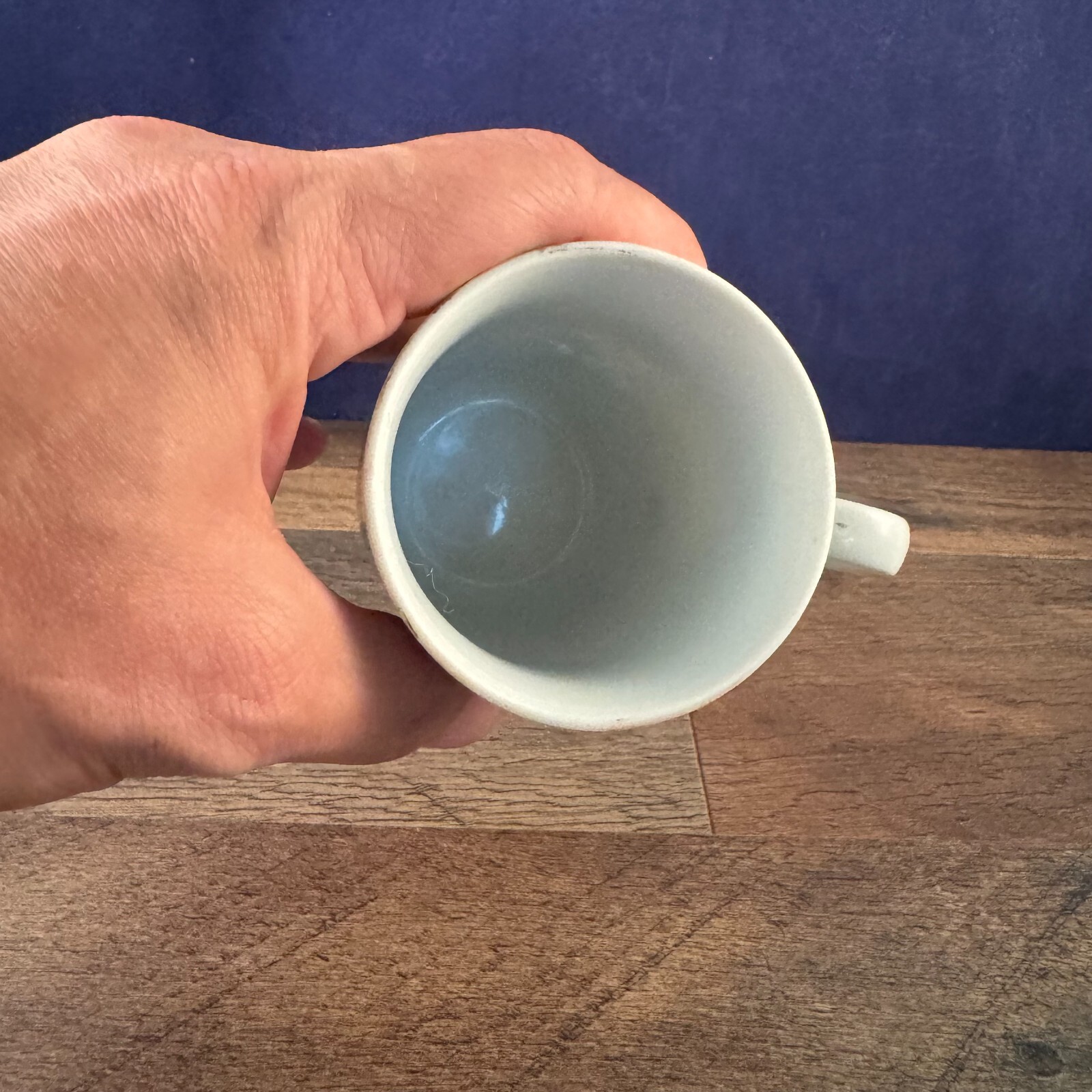 Vintage Tobacco Leaf Genus Nicotinia By Mann China Mug