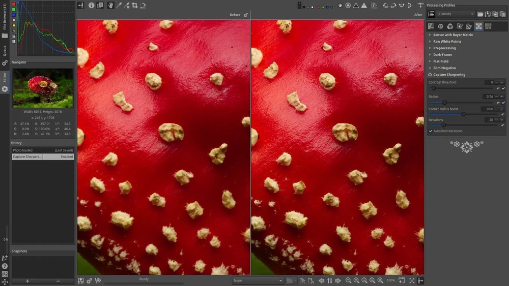 Raw Therapee Photo Editing Software 2026, RAW Image Editor for Windows USB