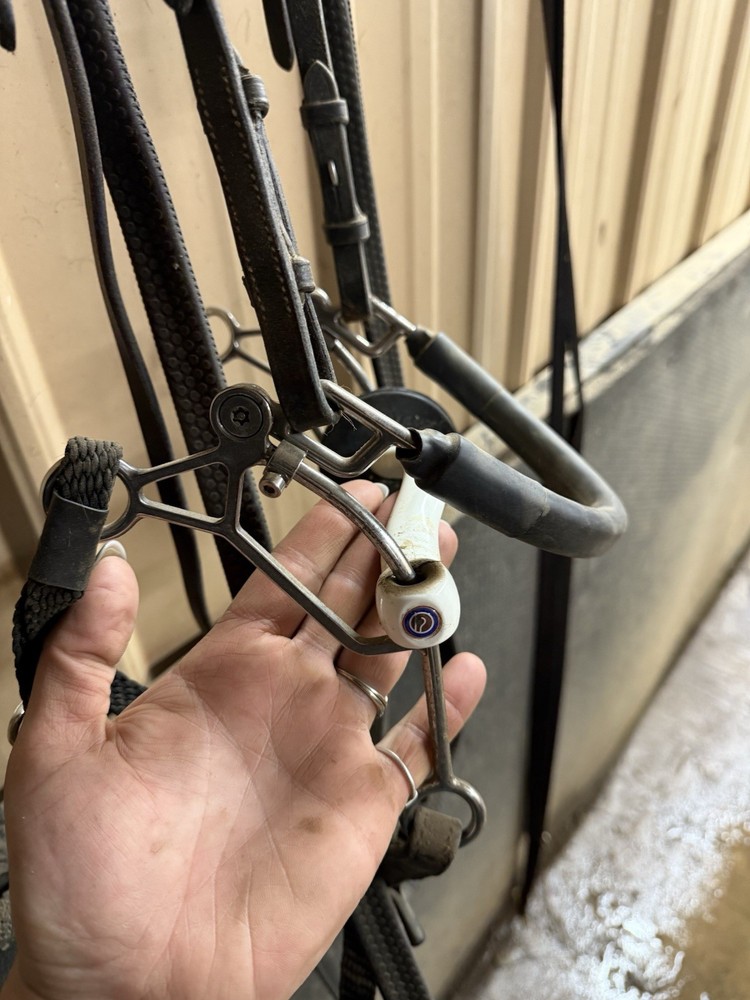 Trust Equestrian Combination Bit 5.5”