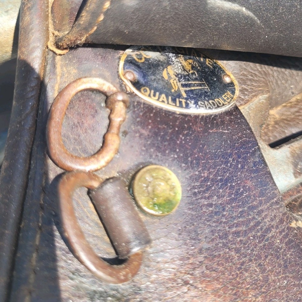 Collegiate A/P 16" Saddle